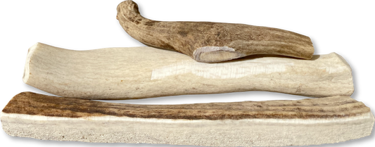 Canine Caviar Venison Antlers